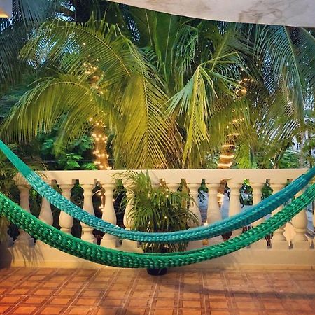 Casa Tropical Otel Cancun Dış mekan fotoğraf
