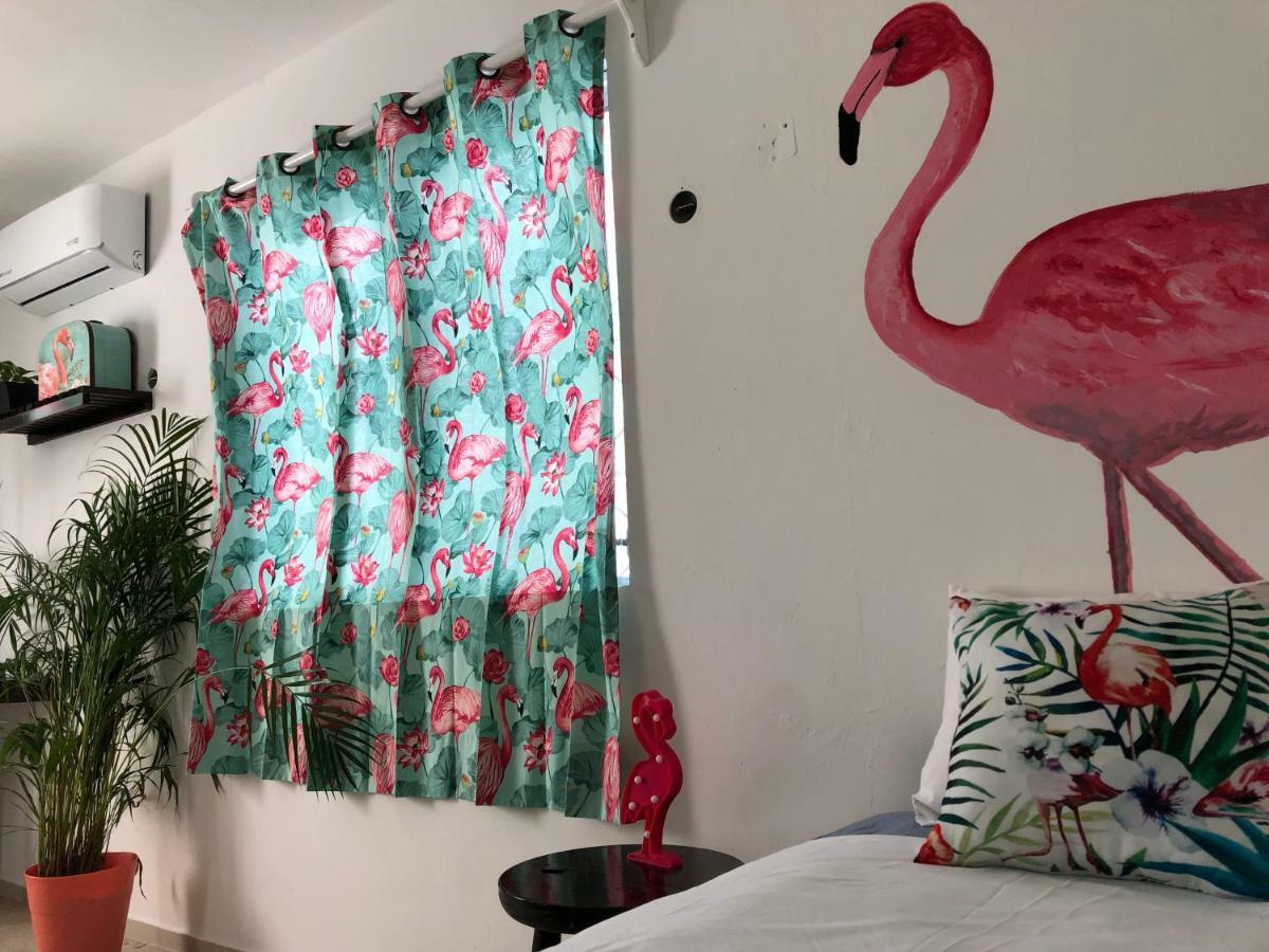 Casa Tropical Otel Cancun Dış mekan fotoğraf