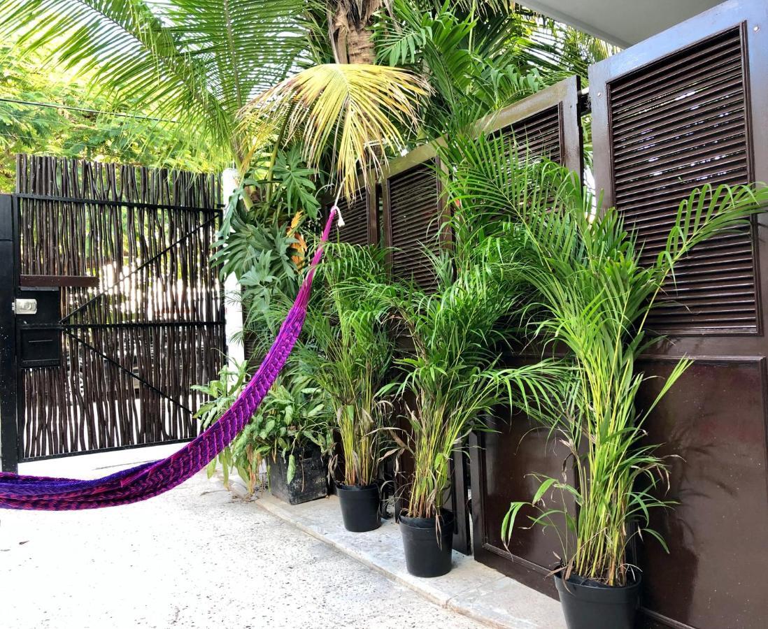 Casa Tropical Otel Cancun Dış mekan fotoğraf