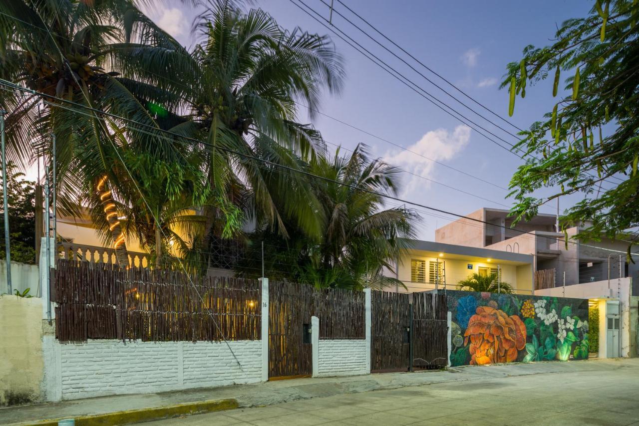 Casa Tropical Otel Cancun Dış mekan fotoğraf