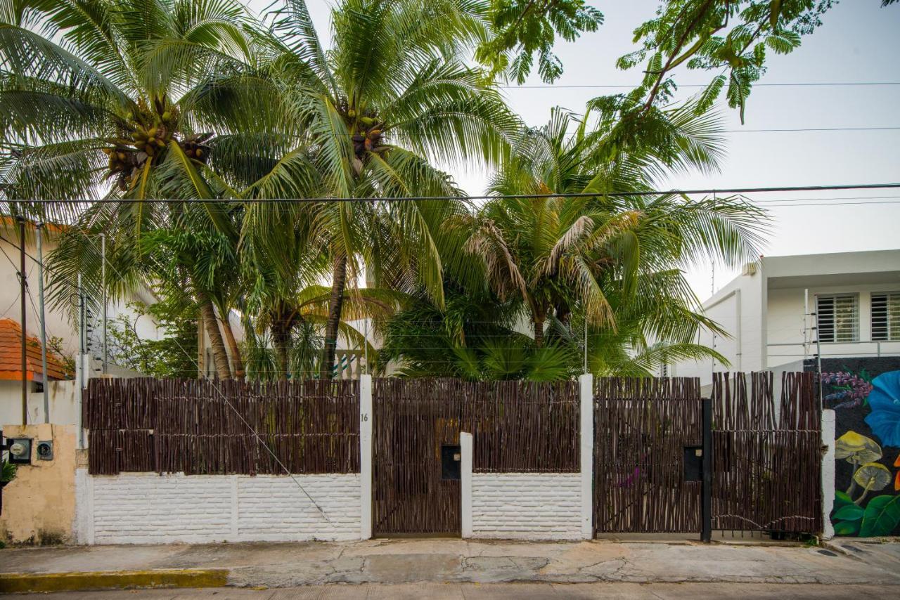Casa Tropical Otel Cancun Dış mekan fotoğraf